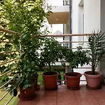 Mandarin Wellness Apartment