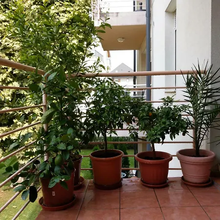 Mandarin Wellness Apartament